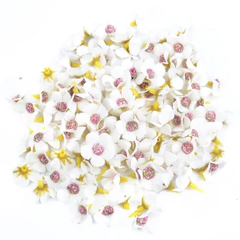 200Pcs 2cm Multicolor Daisy Ziedu Galviņas, Mini Zīda Lētu Mākslīgo Ziedu Vainags Scrapbooking Mājas, Kāzu Dekorēšana