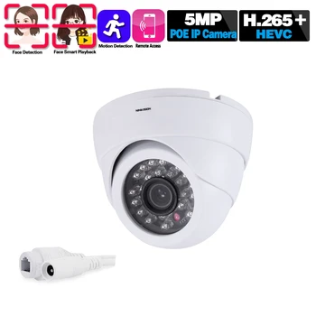 H. 265 Sejas Noteikšanas AI POE IP Āra Kameras Mini Dome Ūdensizturīgu IP66 5MP CCTV Drošības P2P Onvif Video Kameru POE VRR Komplekts
